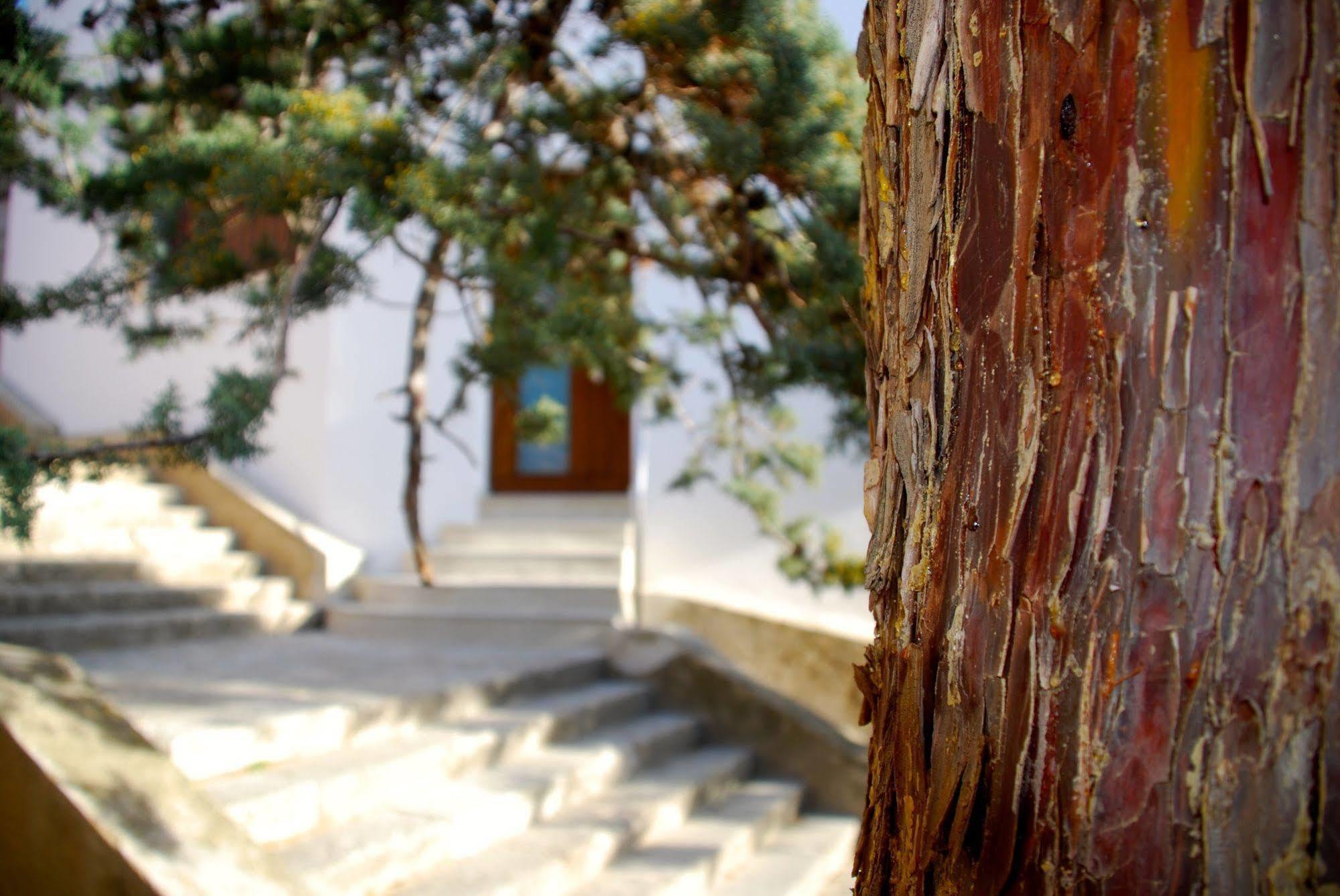 Apartamento Rural Castillo De Yeste 2 Pax (Adults Only) エクステリア 写真